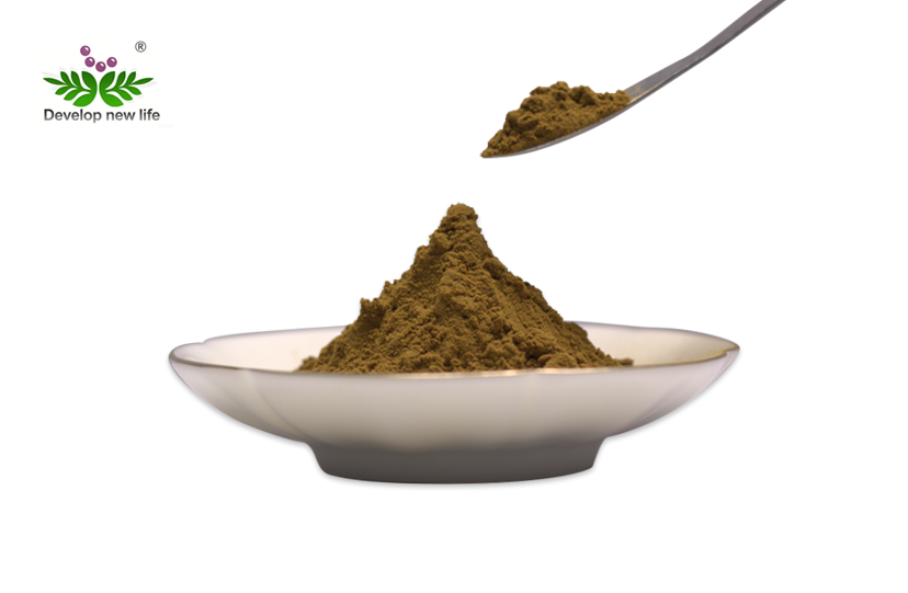 Bitter Orange Extract Powder